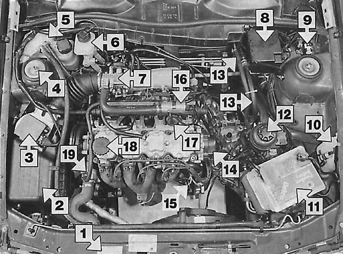 Датчик АБС Опель Вектра С (OPEL VECTRA C универсал (Z02) V6 Turbo (F35)) купить в Минске, цена